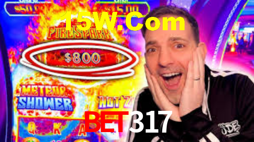 Bet317 Vip